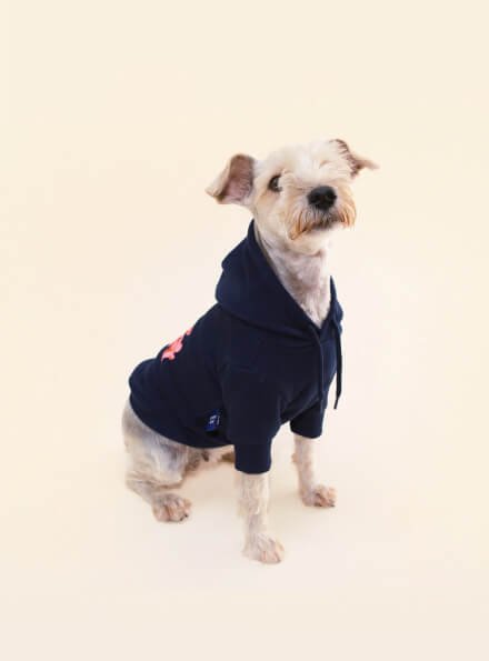cat-puppies-hoddies