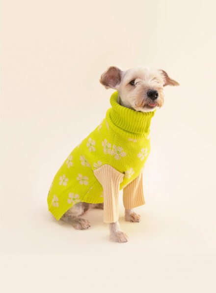 cat-puppies-onesies
