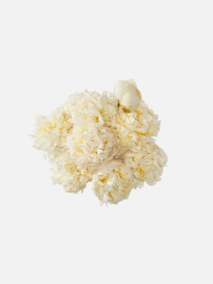 product_floral_1a