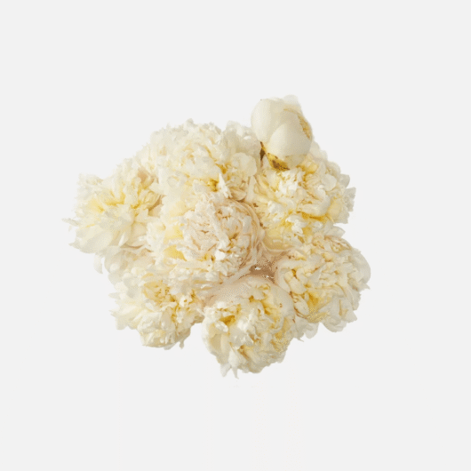 product_floral_1a